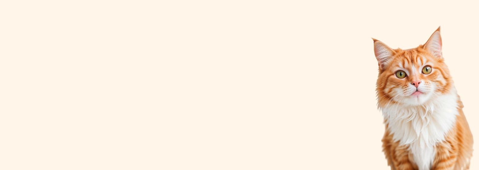 Precise Petcare promo