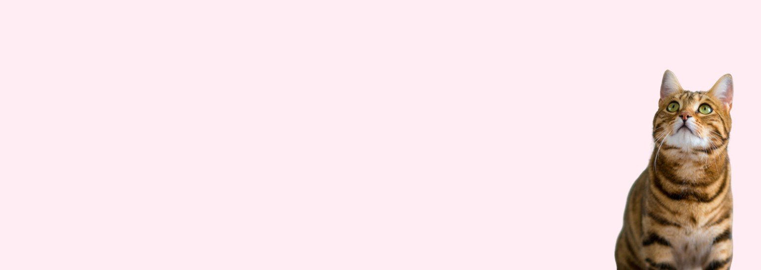 Precise Petcare promo